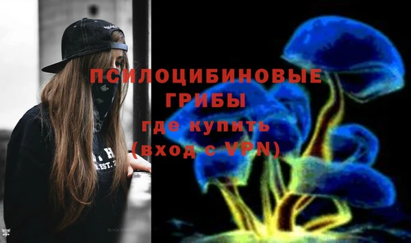 Альфа ПВП Алзамай