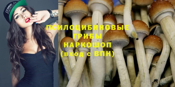 apvp Зеленодольск
