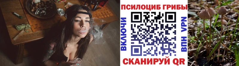 Псилоцибиновые грибы мицелий  дарнет шоп  Динская 